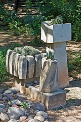 Container Garden Cactus