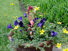 Front Container