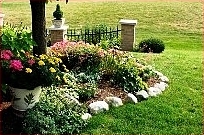 container garden tips