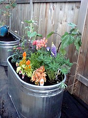 Container Garden Water Trough