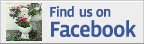 container gardening facebook