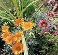 container garden design