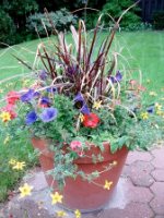 container garden ideas