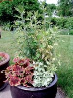 container garden ideas