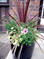 container garden ideas