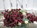 container garden ideas