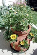 container garden ideas