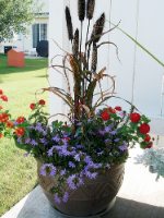 Container Flowers Ideas