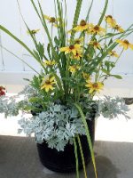 container garden ideas