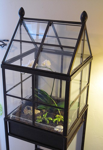 How To Make A Terrarium