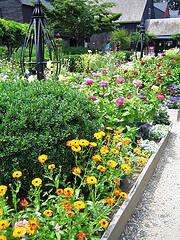 Flowers In A Raised Bed