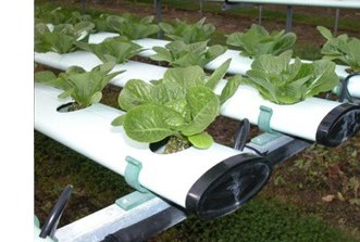 rooftop-hydroponics-system