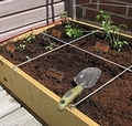 square foot garden