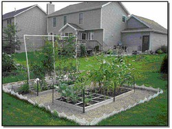 Multiple Square Foot Gardens