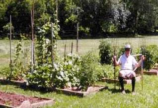 Square Foot Vegetable Gardening