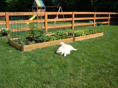 Square Foot Gardening on Square Foot Gardening Mel Bartholomew Square Foot Gardening Review