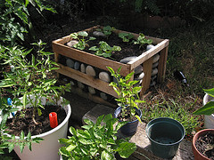 Container Garden Raised Beds