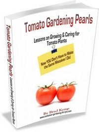 What's THE secret to great-tasting, healthy tomatoes? What's THE secret to great-tasting, healthy tomatoes?