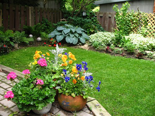 container garden flowers in back yards and walkways container garden flowers in back yards and walkways