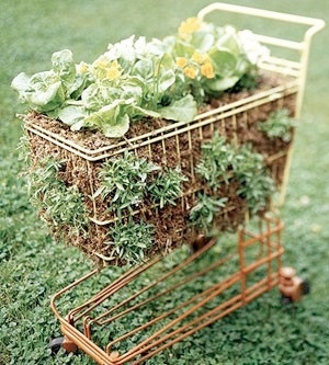 container gardening ideas shopping cart used as a salad planter 21717306 8 Simple Designs For Beautiful Garden