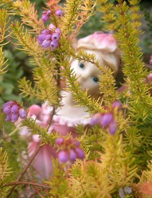 Fairy Flower Garden Ideas