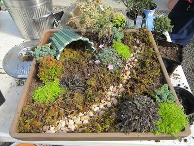 Fairy Garden Ideas: Workshop