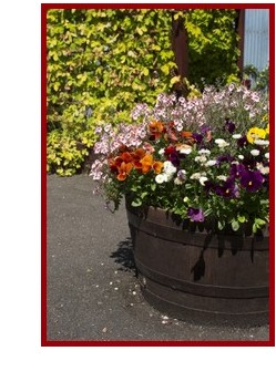 container-garden-design