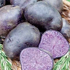 How to Grow Potatoes: Purple potatoes