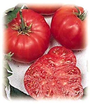 Watermelon Beefsteak Tomato Seeds