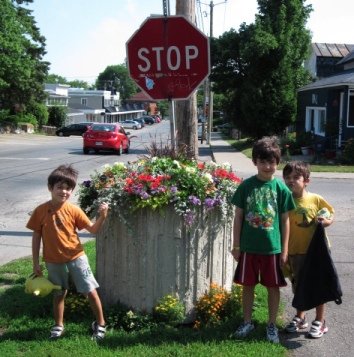 Stop here for container gardening ideas! Stop here for container gardening ideas!